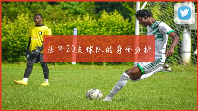 法甲20支球队的身价分析