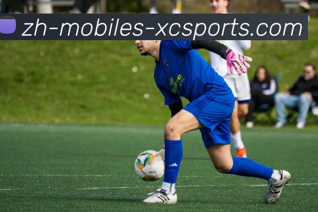 杏彩体育品牌故事