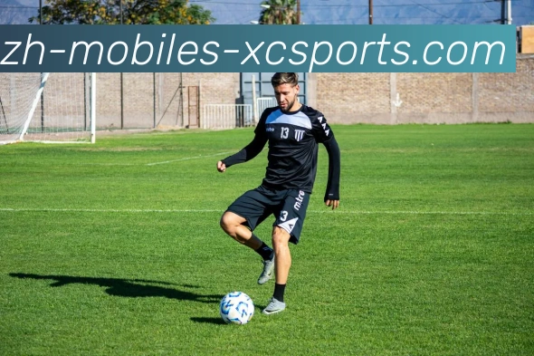 杏彩体育服务体系