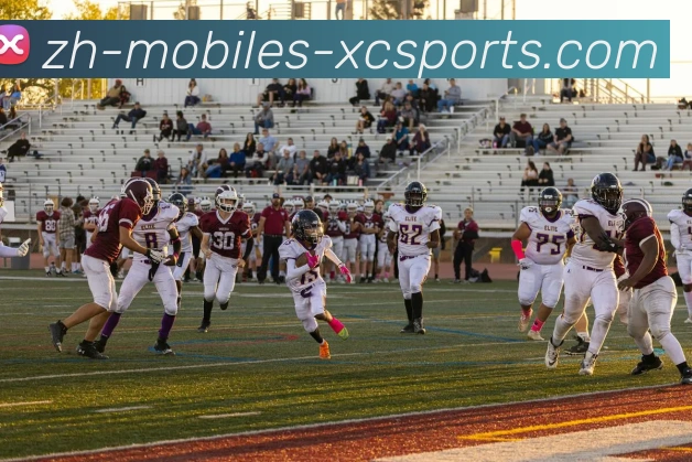 多媒体互动体验