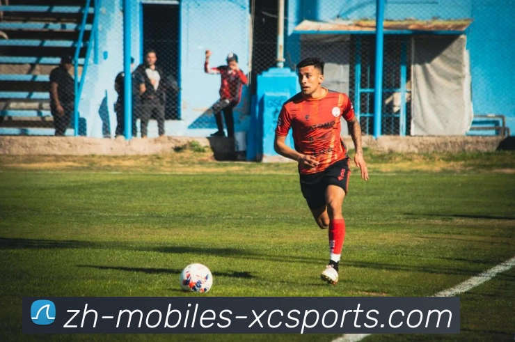 杏彩体育APP 体育赛事宣传图